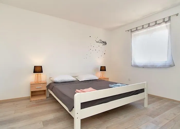 Valter 2136 보드냔